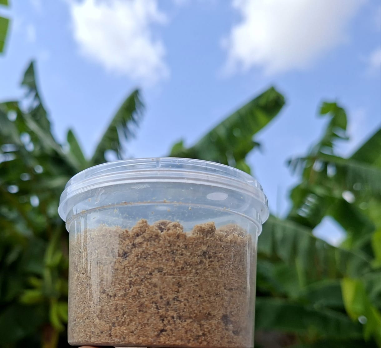 Fish Powder